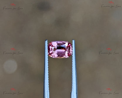 Saphir Padparadscha 0,76 carats, Saphir Padparadscha véritable de Ceylan non chauffé non traité de taille coussin pour elle.