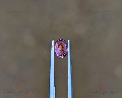 Saphir Padparadscha 0,69 carats, Pierre précieuse naturelle de Ceylan de forme ovale non chauffée non traitée, 5,5 x 4 x 3,8 mm
