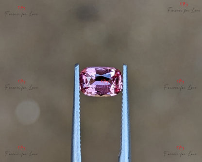 Saphir Padparadscha 0,76 carats, Saphir Padparadscha véritable de Ceylan non chauffé non traité de taille coussin pour elle.