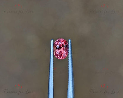 Saphir Padparadscha 0,69 carats, Pierre précieuse naturelle de Ceylan de forme ovale non chauffée non traitée, 5,5 x 4 x 3,8 mm