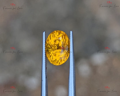 Golden Yellow Sapphire 7 Carats, Genuine Ceylon Oval Shaped Loose Gemstone, 11.9 x 9 x 8.1mm, High Quality Gem Piece.
