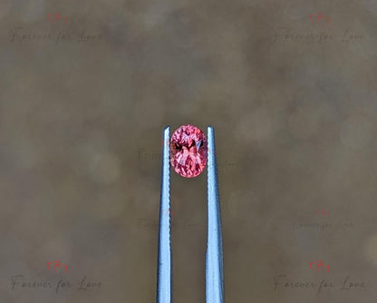 Saphir Padparadscha 0,69 carats, Pierre précieuse naturelle de Ceylan de forme ovale non chauffée non traitée, 5,5 x 4 x 3,8 mm