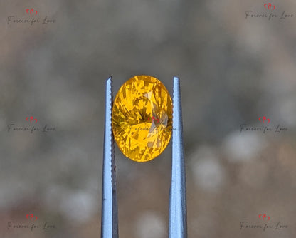 4.09 Carat Oval Natural Heat-Treated Ceylon Yellowish Orange Sapphire